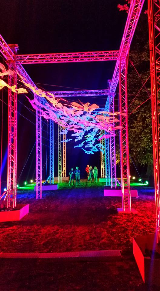 'Murmuration' Festival Art Installation