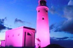 Everyone needs a pink LightHouse!